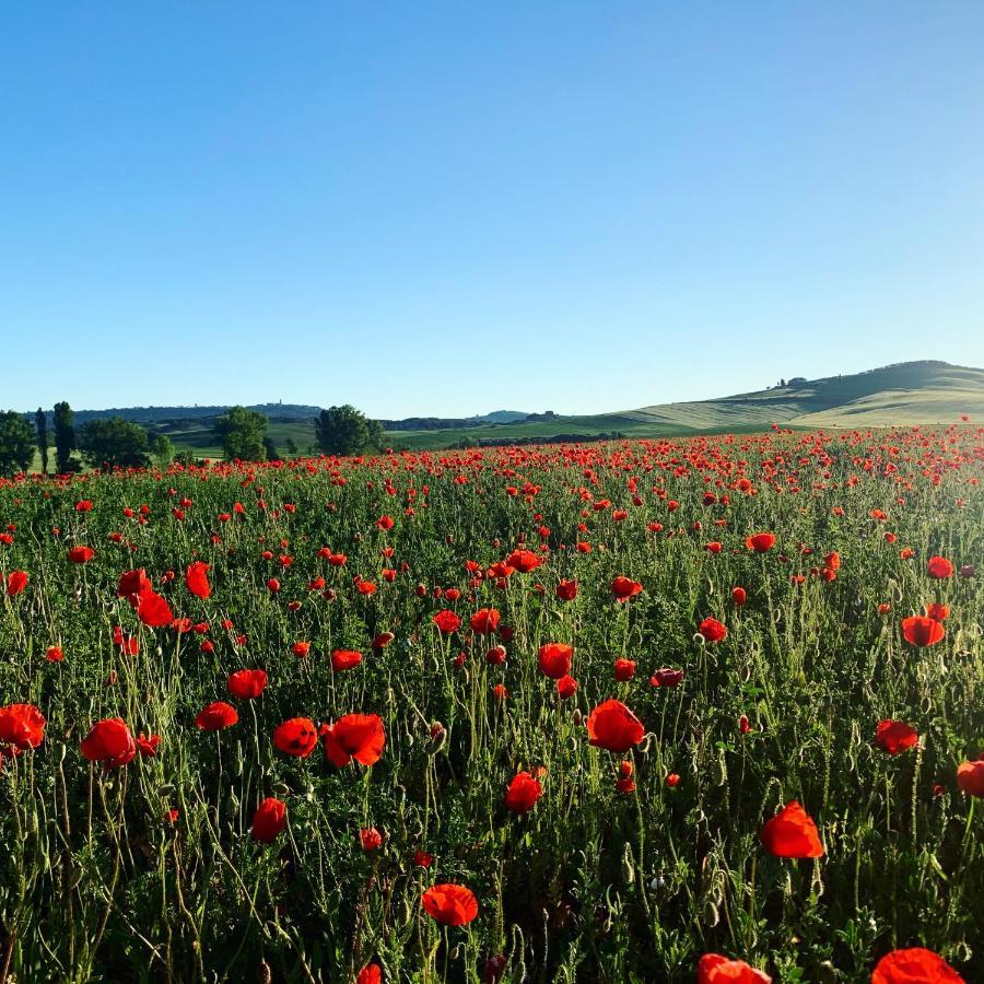Agriturismo Poggio Tobruk Pienza Zewnętrze zdjęcie