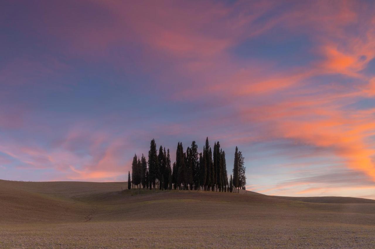 Agriturismo Poggio Tobruk Pienza Zewnętrze zdjęcie