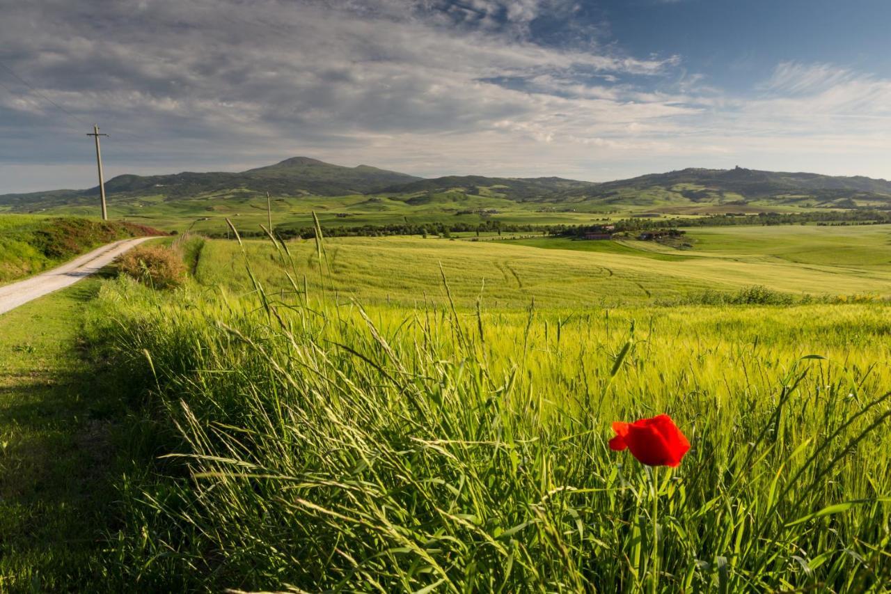 Agriturismo Poggio Tobruk Pienza Zewnętrze zdjęcie