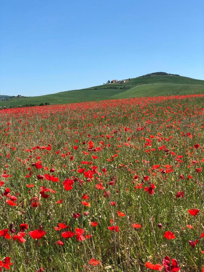 Agriturismo Poggio Tobruk Pienza Zewnętrze zdjęcie