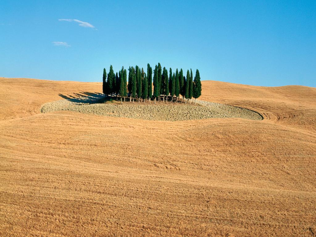 Agriturismo Poggio Tobruk Pienza Zewnętrze zdjęcie