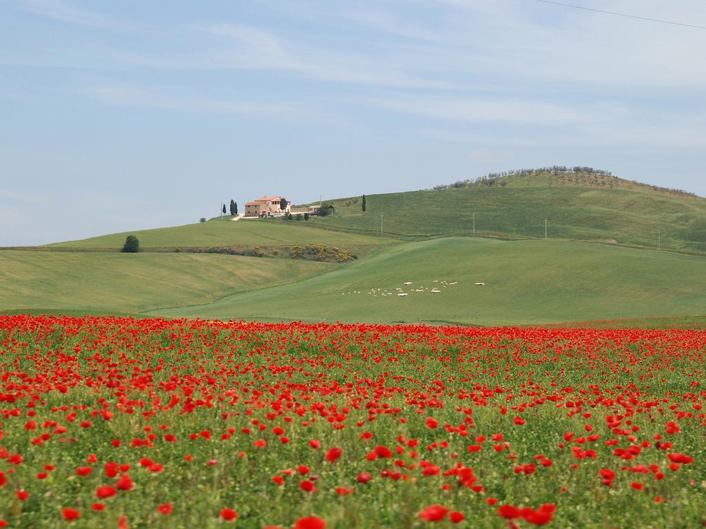 Agriturismo Poggio Tobruk Pienza Zewnętrze zdjęcie