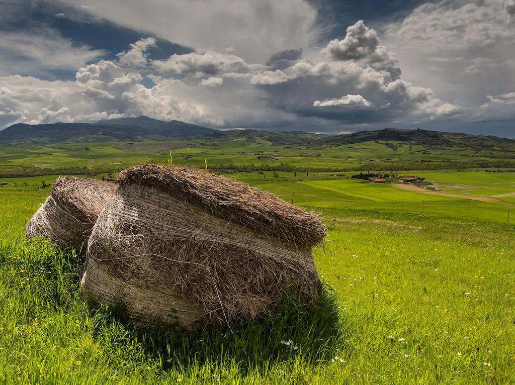 Agriturismo Poggio Tobruk Pienza Zewnętrze zdjęcie