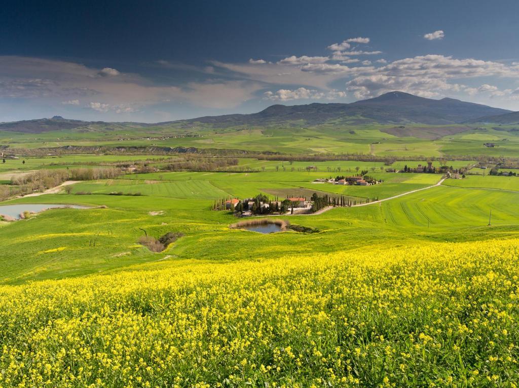 Agriturismo Poggio Tobruk Pienza Zewnętrze zdjęcie